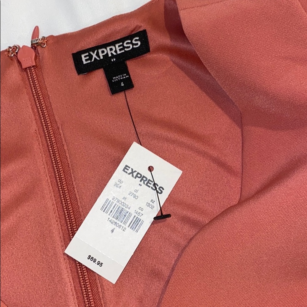 Express Dress - Picture 2 of 4